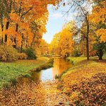 Тамерлан Кумратов