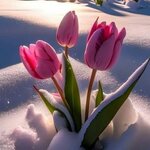 Антонина Киреева