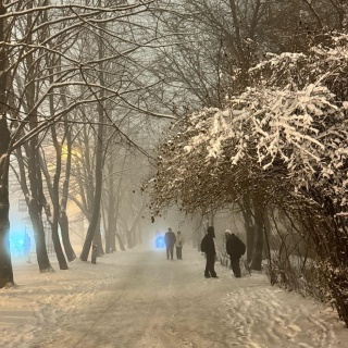 Ксения Лисунова