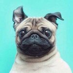 Ана
