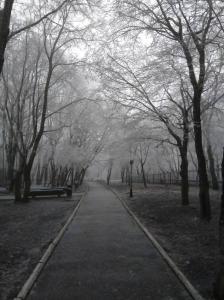 Фотография Краевая детская клиническая больница 5
