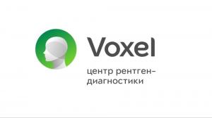 Фотография Voxel 5