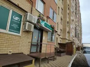 Фотография Развитие ДНК 2